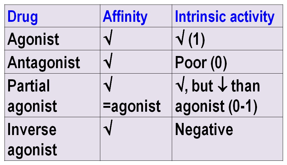 Pharmacodynamics Mutalik Pharmacology
