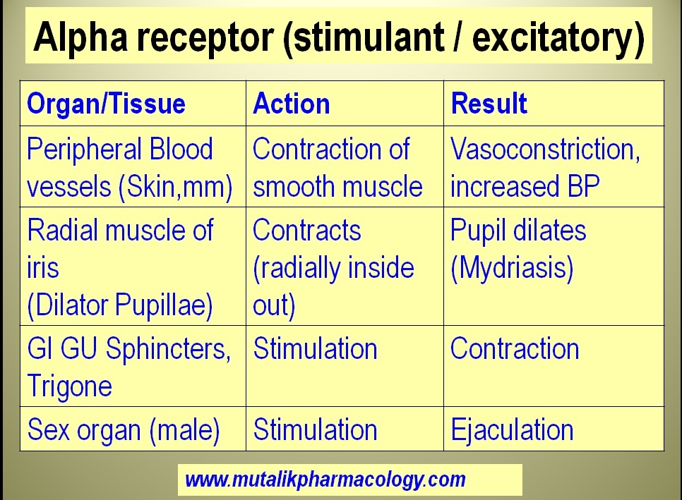 alpha 1 receptors