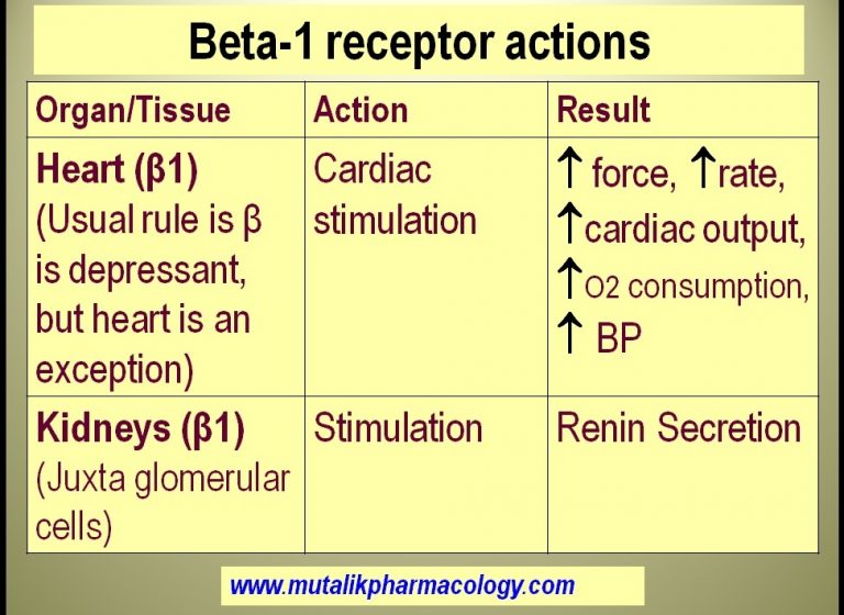 Adrenergic Agonists | Mutalik Pharmacology