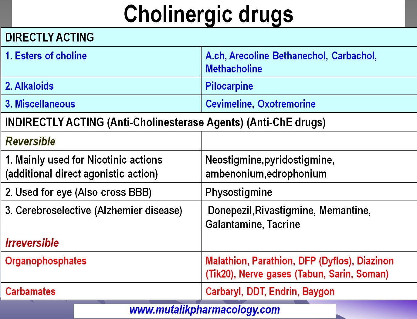 Cholinergic Drugs- Agonists and Anti-Cholinesterase Agents | Mutalik ...