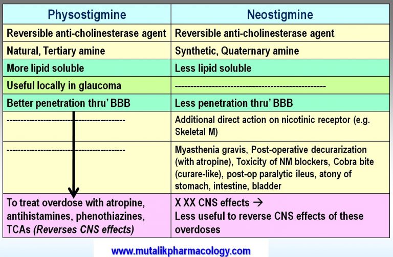 Cholinergic Drugs- Agonists and Anti-Cholinesterase Agents | Mutalik ...