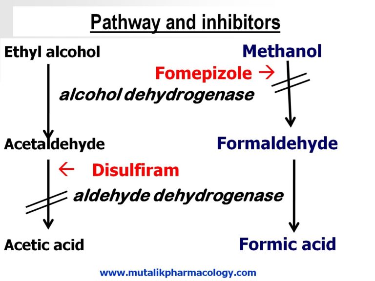Ethyl and Methyl Alcohol Mutalik Pharmacology