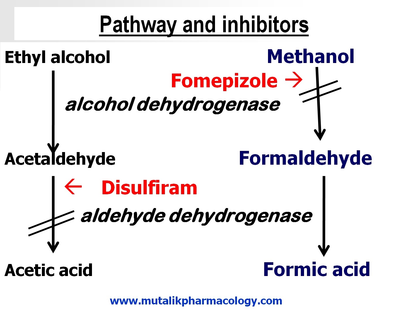 Ethyl and Methyl Alcohol Mutalik Pharmacology