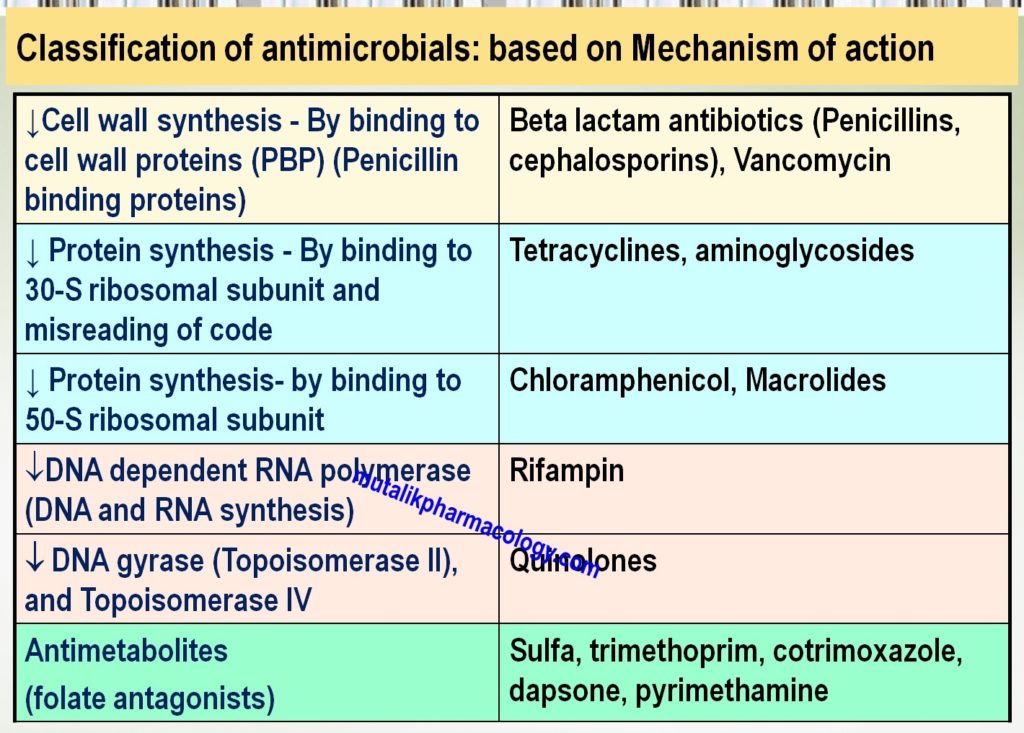 Introduction to Chemotherapy | Mutalik Pharmacology